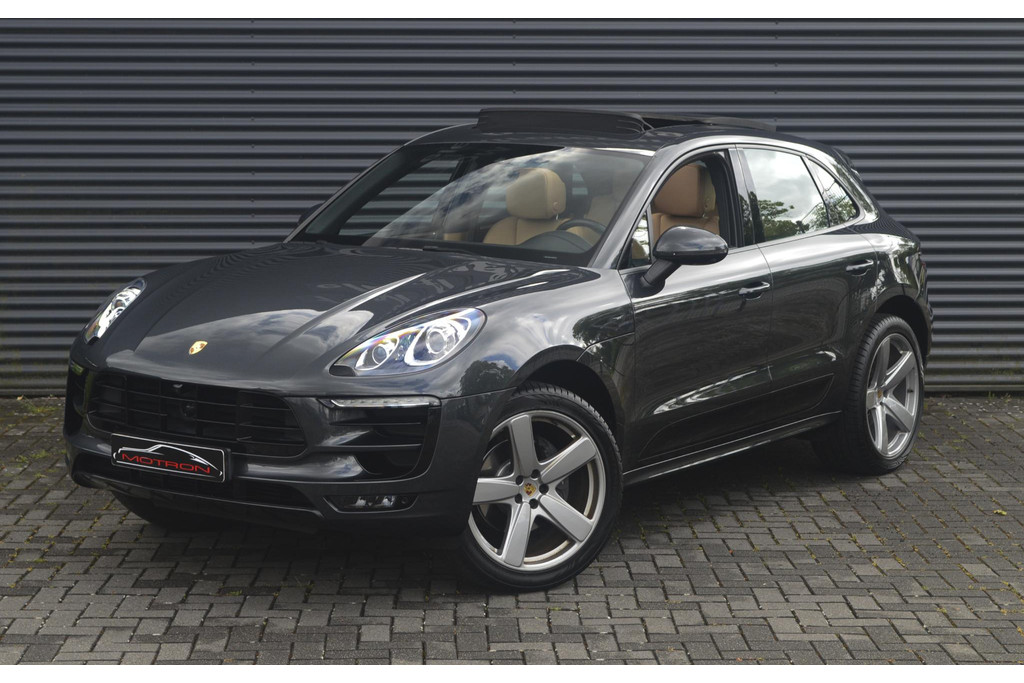 54119531